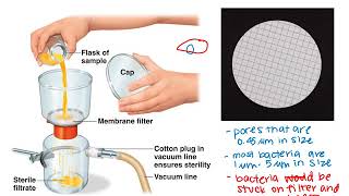 Lab 812 and 813 Water Sample Testing [upl. by Cortney]