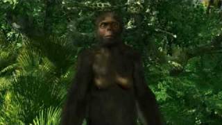 Discovering Ardi  Ardipithecus CG [upl. by Nylessej]