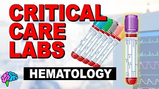 Hematology  Complete Blood Count CBC  Critical Care Labs [upl. by Bartosch]