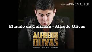 El malo de Culiacán  Alfredo Olivas Lyrics [upl. by Cyler]