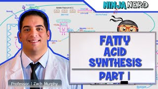 Metabolism  Fatty Acid Synthesis Part 1 [upl. by Edea893]