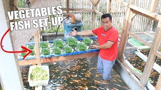 BUILDING HYDROPONICS COLORED FISH TANK SETUP [upl. by Auqinihs]