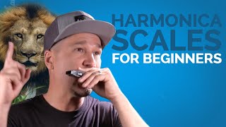 Harmonica Scales For Beginners While Learning to Play Something Cool [upl. by Merna858]