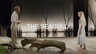 Chekhov The Seagull [upl. by Dnumsed]