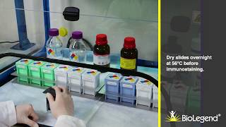 FFPE Tissue Slide Preparation and Processing [upl. by Ardussi]