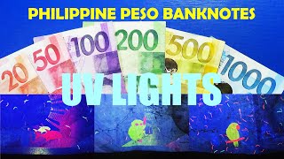 PHILIPPINE PESO BANKNOTES UNDER UV LIGHTS [upl. by Lattonia255]