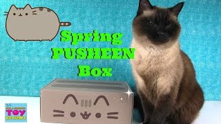 Spring Pusheen Box Unboxing Exclusive Products  PSToyReviews [upl. by Elo]