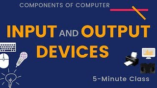 Input and Output Devices [upl. by Virgil]