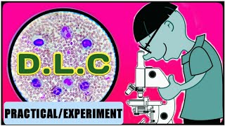 DLC Test  WBC Differential Count  Differential Leukocyte Count [upl. by Rothberg]