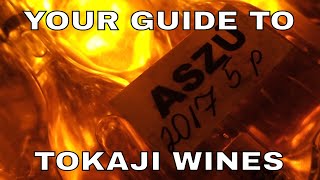 Hungarian Wine Tokaj Explained [upl. by Beata48]