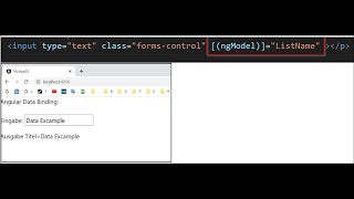 ✔ Error NG8002 Cant bind to ngModel since it isnt a known property of input Angular solved [upl. by Llesram]