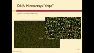 How Does a DNA Microarray Work [upl. by Courtenay]