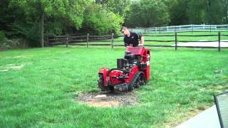 One Stop Rental Using A Stump Grinder [upl. by Nomolas]