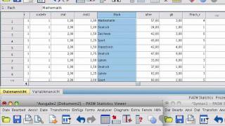 SPSS Umkodieren von Variablen [upl. by Nahgeem843]