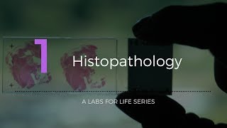 Histopathology [upl. by Bergin]