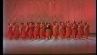 Cossack dance  Ukrainian dance [upl. by Pape628]