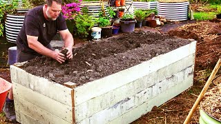 How to Fill Raised Vegetable Garden Beds and SAVE Money [upl. by Phyllis]