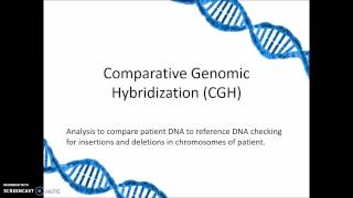 Comparative Genomic Hybridization CGH [upl. by Southard]