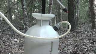 mixing and using Remedy Ultra hardwood herbicide [upl. by Ahsilra]