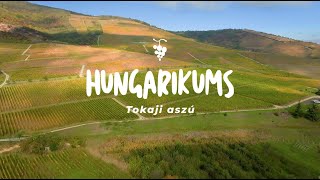 Hungarikums Tokaji aszú [upl. by Oidualc]