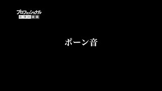 プロフェッショナル 仕事の流儀 の「効果音」サウンドエフェクト [upl. by Googins]