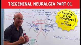 Trigeminal Neuralgia  Causes and Treatment  Part 1 [upl. by Markson]