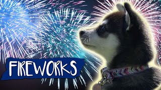 Fireworks Noise Desensitization For Dogs [upl. by West]