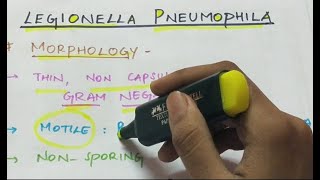 Legionella pneumophila  Microbiology  Handwritten notes [upl. by Sabba]