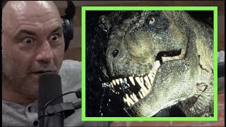 Joe Rogan  The Mysteries of the TREX [upl. by Ycram]