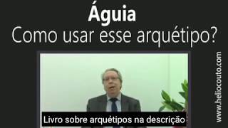 Como usar o arquétipo da Águia  Hélio Couto [upl. by Austina]