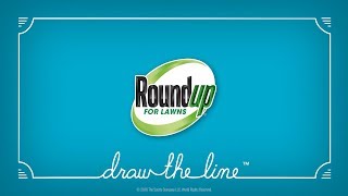 How to Use Roundup® For Southern Lawns Products Properly to Kill Weeds in Your Lawn [upl. by Notrem]