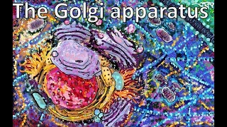 The Golgi apparatus From structure to function [upl. by Heintz83]