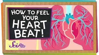 How to Feel Your Heart Beat [upl. by Artened]