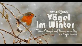 Vögel im Winter  Futterhäuschen und Meisenknödel [upl. by Unhsiv]