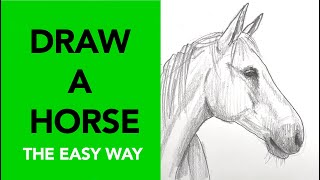 Easy way to draw a horse [upl. by Nyrek612]