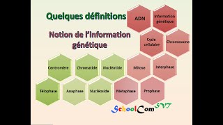 Quelques définitions  Notion de l’information génétique [upl. by Airak15]