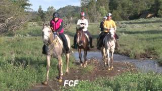 The Fort Howes Montana 100mile Horse Endurance Ride June 11 2011 [upl. by Miza254]