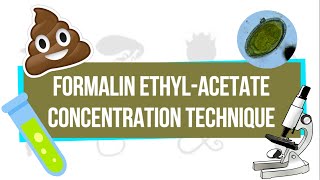 Formalin EthylAcetate Concentration Technique FEACT  UPLB Parasitology Research Laboratory [upl. by Armstrong]