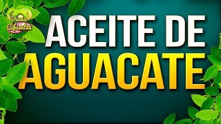 Para Que Sirve El Aceite De Aguacate  Propiedades Beneficios Y Contraindicaciones Del Aguacate [upl. by Atse150]