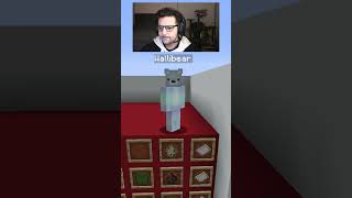 WALLIBEAR TAKES ON MOB ARENA gaming ⁠youtube funny minecraft memes tiktok shorts ytshorts [upl. by Silin]