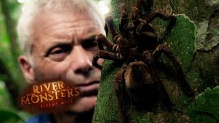 The Largest Spider In The World  SPECIAL EPISODE  River Monsters [upl. by Pontius]