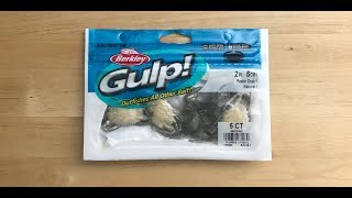 Berkley Gulp Peeler Crab Pros and Cons [upl. by Llevert]