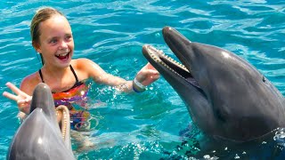 We Play with Dolphins on a Tropical Island Kids Fun TV [upl. by Anim]