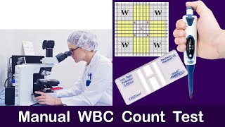 Manual WBC Count Test  Complete Explain [upl. by Ilaw]