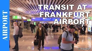 TRANSIT WALK AT FRANKFURT Airport FRA Terminal 1  Connection Flight Transfer Arriving amp Departing [upl. by Flanna67]