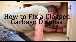 How to Fix a Clogged Garbage Disposal [upl. by Viridis470]