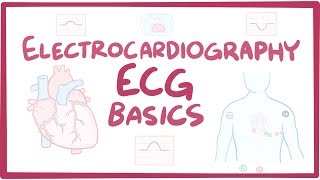 Electrocardiography ECGEKG  basics [upl. by Tartaglia]