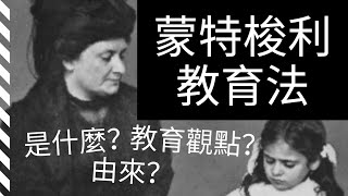 蒙特梭利教育法適合我的孩子嗎｜【新手媽媽必看】5個你不得不了解的蒙氏早教觀點 [upl. by Koser]