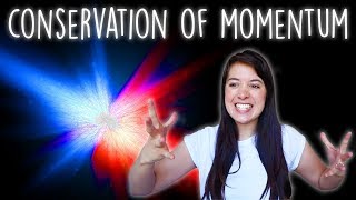 The Conservation of Momentum Explained Simply [upl. by Anihpled]