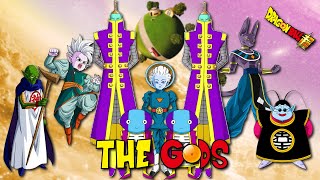 Dragon Ball GODS HIERARCHY Explained  History of Dragon Ball [upl. by Akinot]